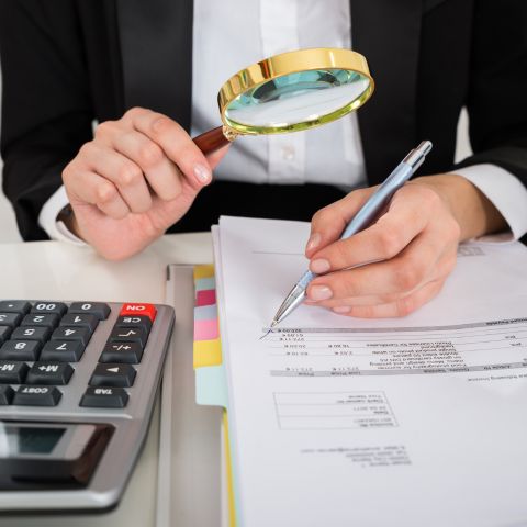 auditores y normatividad