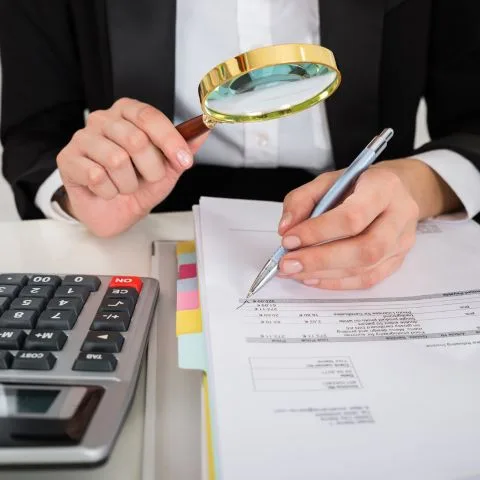 auditores y normatividad