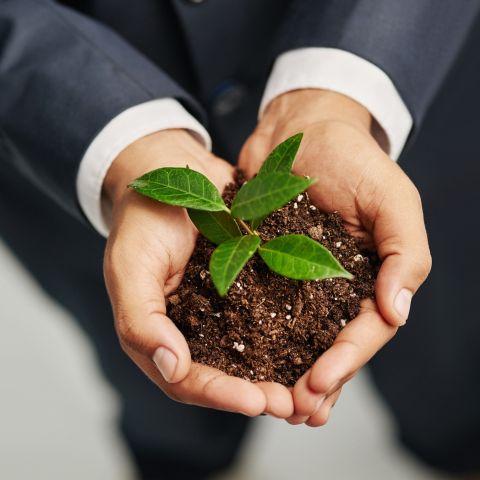 desarrollo sostenible y medio ambiente