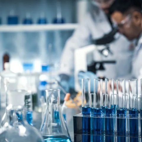 investigación y desarrollo